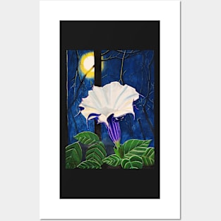 Moonflower in the Moonlight Watercolor Painting Posters and Art